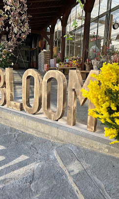 Lettere BLOOM con mimosa