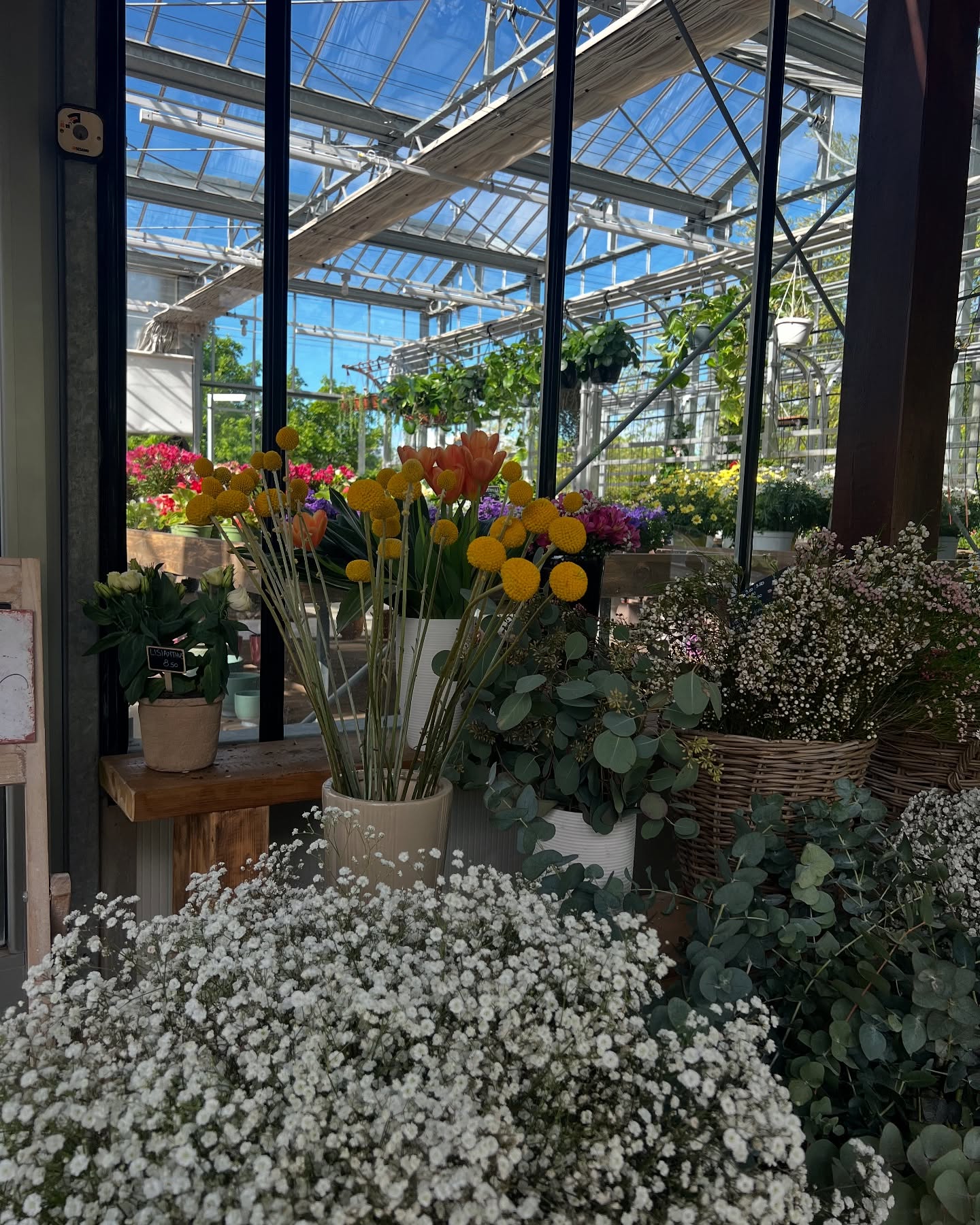 Giardino esterno