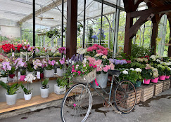 Bicicletta tra i fiori