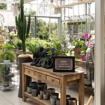 Display interno